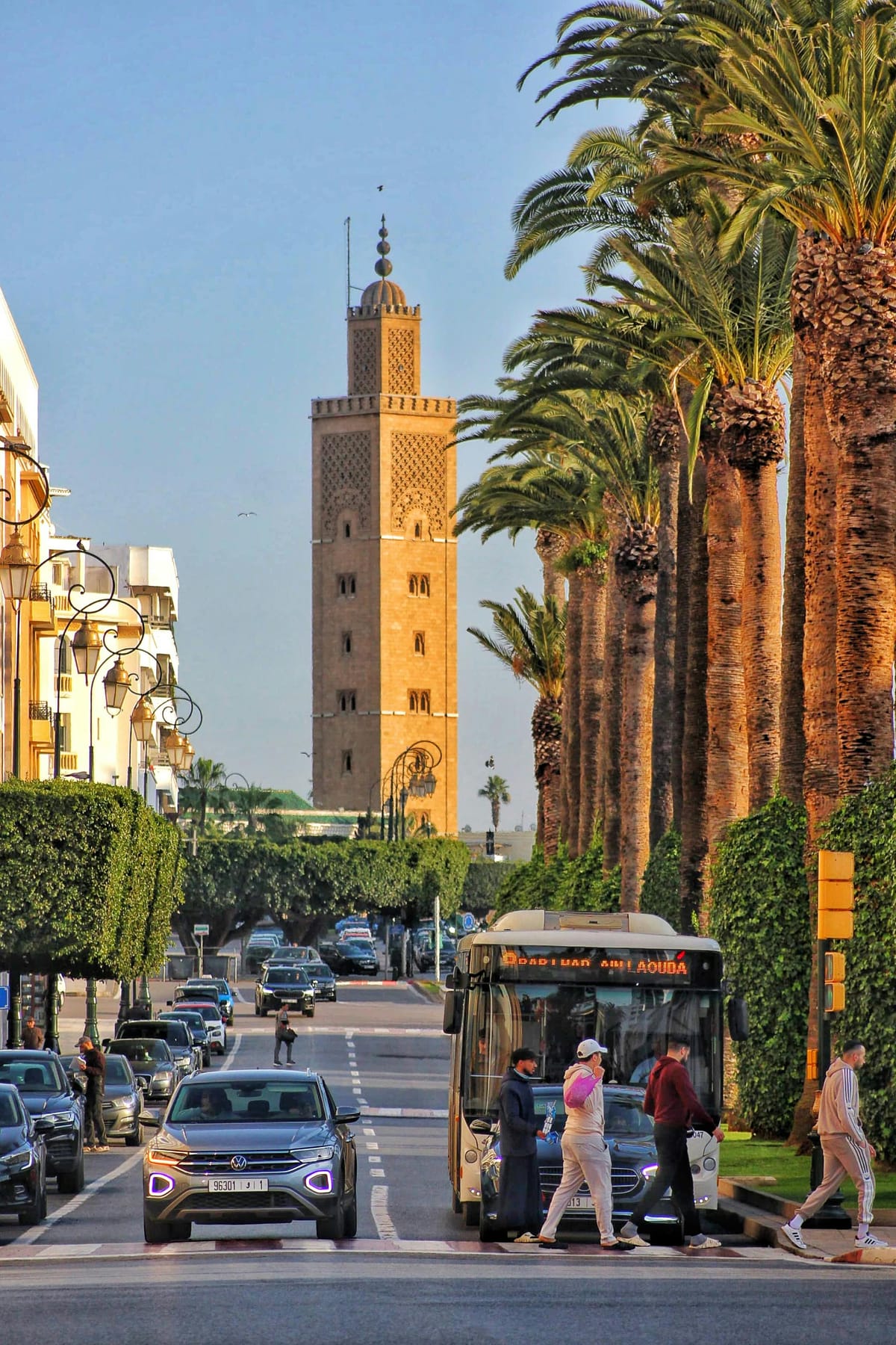 Reframing Societal Reforms: Transitional Multipliers Toward Long-Term Intelligence Equilibrium